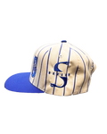 Skeesh LoGoHo Hat