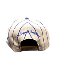 Skeesh LoGoHo Hat